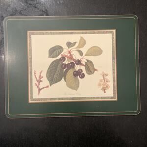 Vintage Pimpernel Cork Backed Placemat “the Tradescant Cherry”